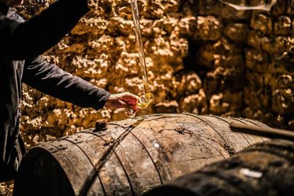 Discovering the Beauty of Old Cognac