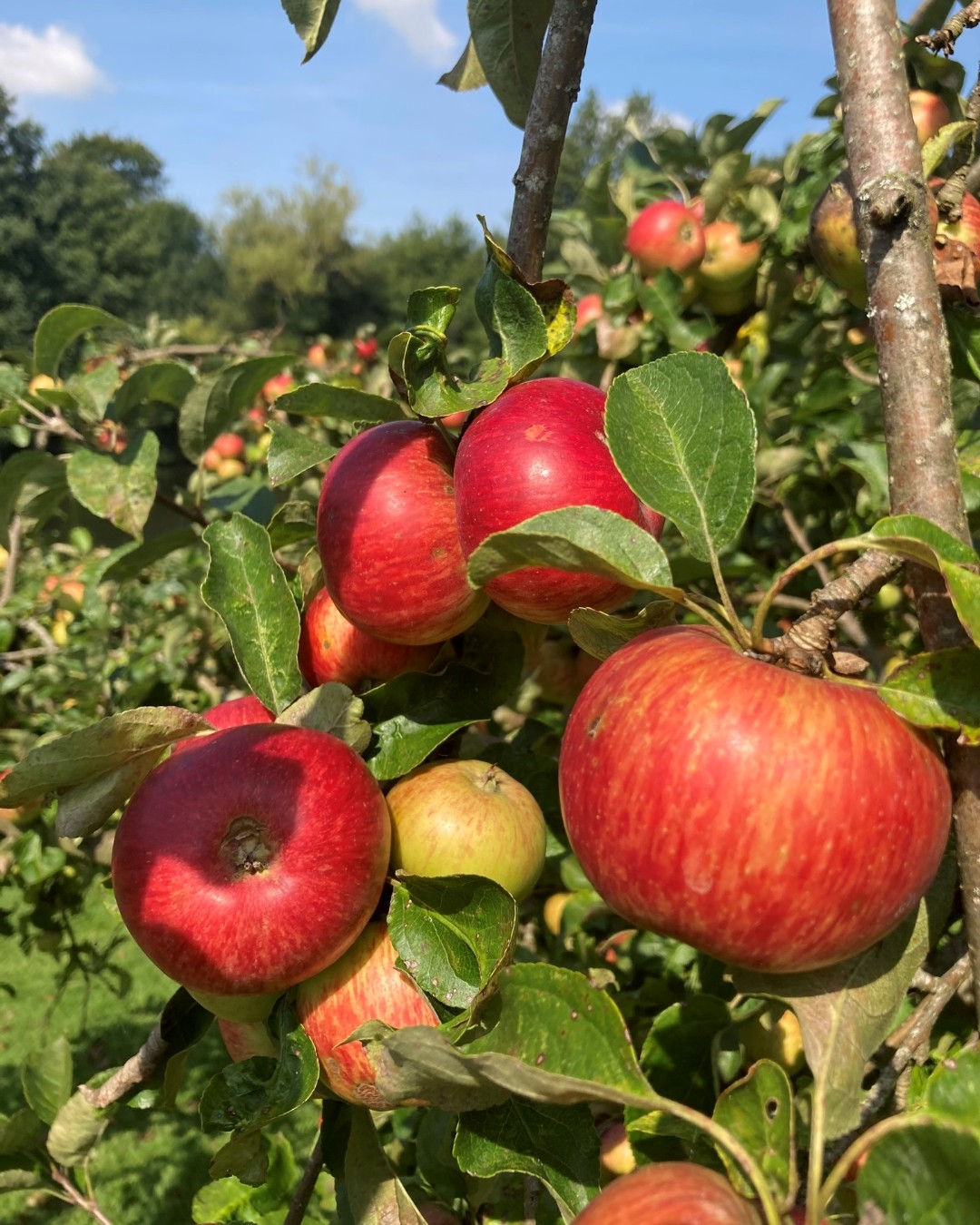 Domaine de la Flaguerie