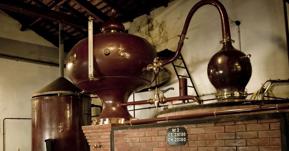 How Is Cognac Made? - Assaggio Blog