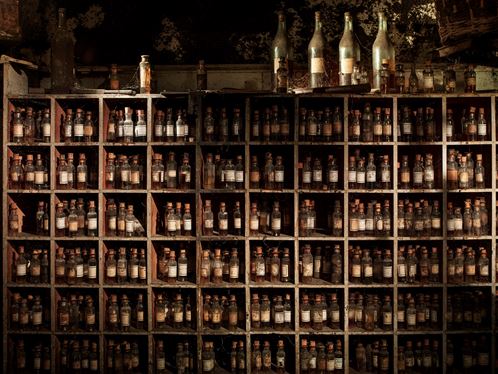 Discovering the Beauty of Old Cognac