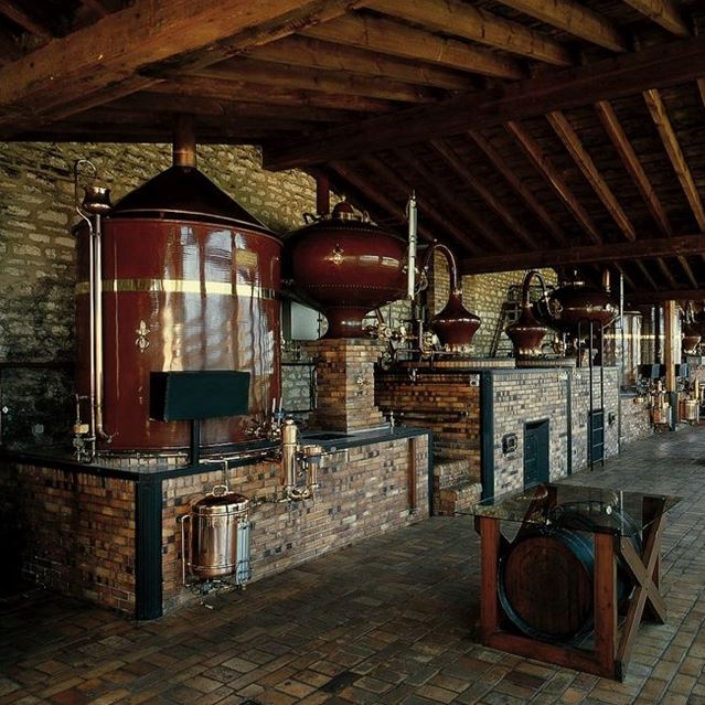 Château de Beaulon Distillery