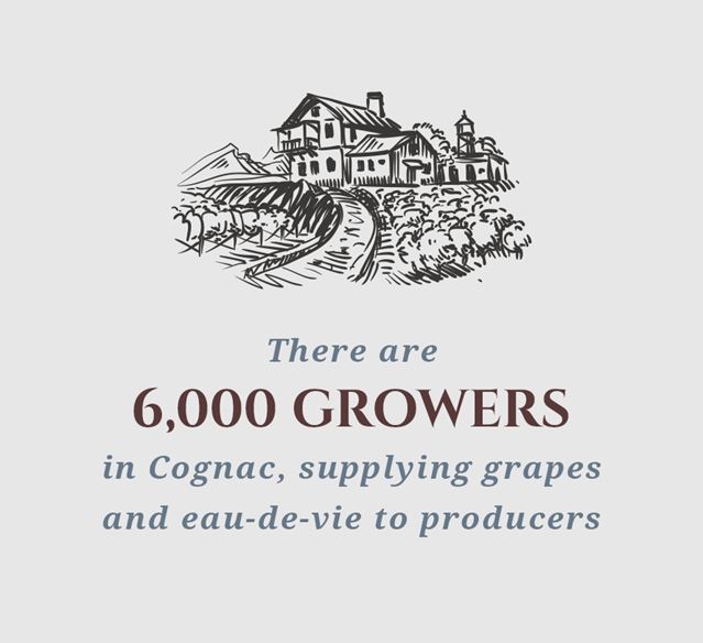 6,000 Growers