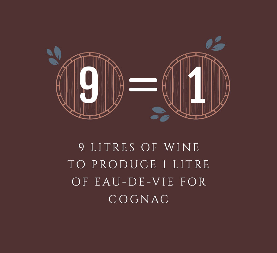 10 litres of wine to produce 1 litre of Eau-de-Vie for Cognac