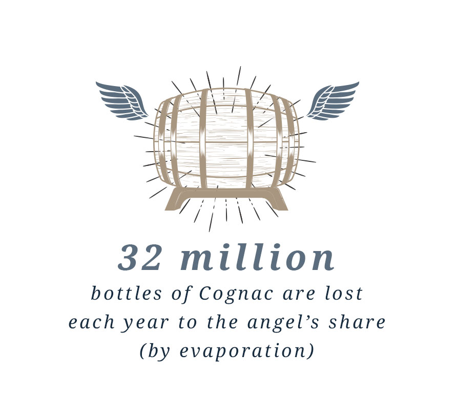 32 million bottles of Cognac are lost each year to the angel's share (by evaporation).