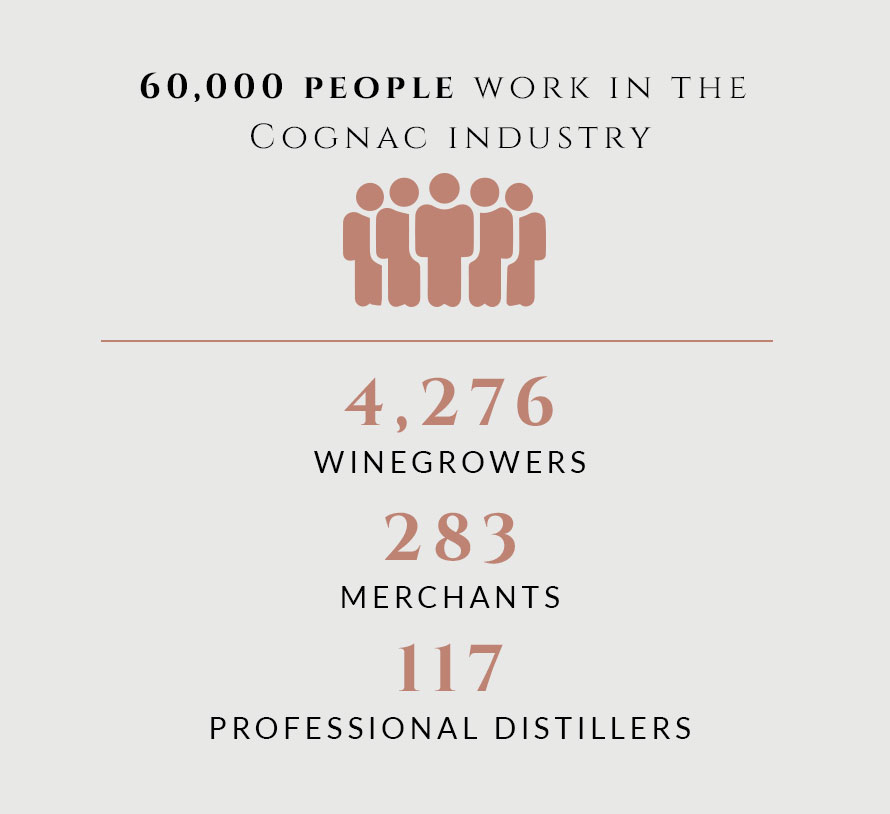 2019 Key Figures for Cognac